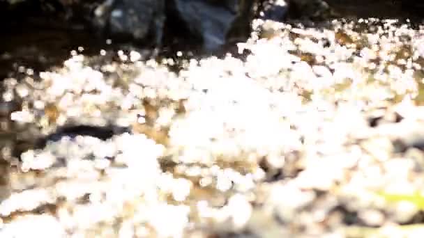 Bokeh sol bländning reflekteras i vattenytan. — Stockvideo