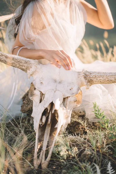 Beau crâne de cerf avec cornes, gros plan de la main de la fille posée sur la tête — Photo