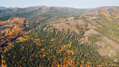Sonbaharda yeşil ve sarı ağaçlı güzel dağlar. İnsansız hava aracının fotoğrafları.