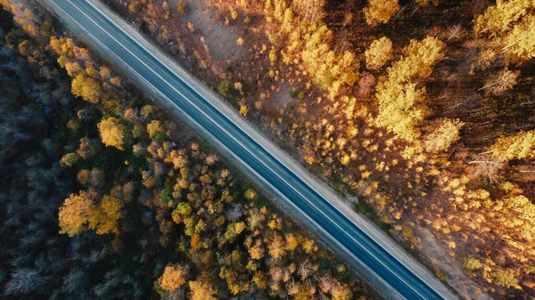 Beautiful Road Autumn Forest View Drone Photo — Stock Photo, Image