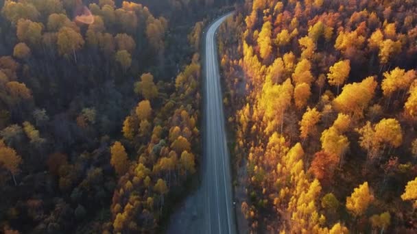 Droga jesień natura z dronem — Wideo stockowe