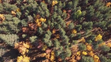İnsansız hava araçlarıyla sonbahar doğası