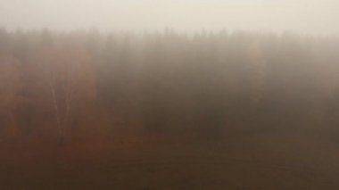 Sonbahar sis drone ormanı