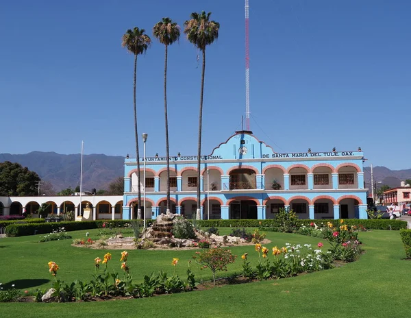 Schoonheid planten op het belangrijkste plein voor het stadhuis in het centrum van Santa Maria del Tule aan de staat Oaxaca in Mexico — Stockfoto