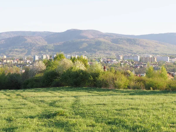 Marvelous Cityscape Landscapes European Bielsko Biala City Countryside Green Grassy — Stock fotografie