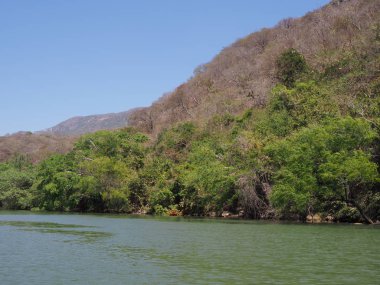 Meksika 'nın Sumidero Kanyonu' nun Meksika yamacında Meksika 'nın Chiapas eyaletinde Grijalva nehri manzaraları 2018' de açık mavi gökyüzü ile sıcak kış günü, Kuzey Amerika.