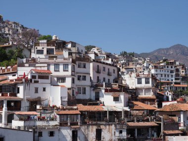 Meksika 'nın tarihi Taxco şehrinin şehir manzarasında 2018' de güneşli kış gününde sıcak mavi gökyüzü ve jakaranda ağaçları ile güzel evler..