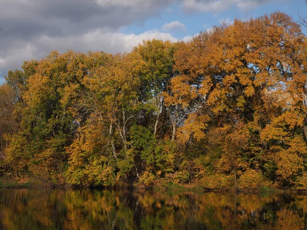 Autumn Landscapes Colorful Trees River Water Reflection Royal Wilanow Park — Fotografia de Stock