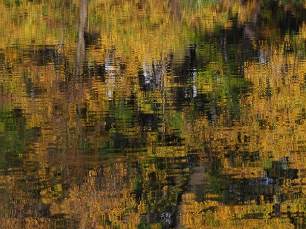 Colored Water Reflection Landscapes Trees River Royal Wilanow Park European — Stock Photo, Image