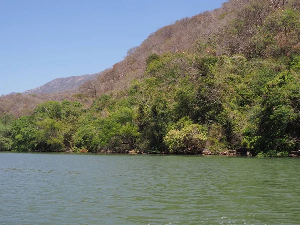 Pendiente tropical del cañón de Sumidero en el paisaje del río Grijalva en el estado de Chiapas en México — Foto de Stock