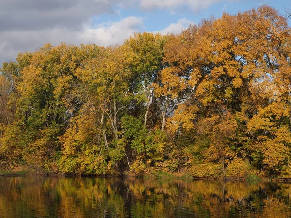 Landscapes Scenic Shore Trees River Water Reflection Royal Wilanow Park — Fotografia de Stock