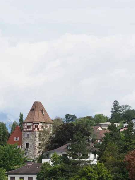 Toren Woonwijk Heuvel Het Stadsgezicht Landschappen Van Europese Hoofdstad Vaduz — Stockfoto