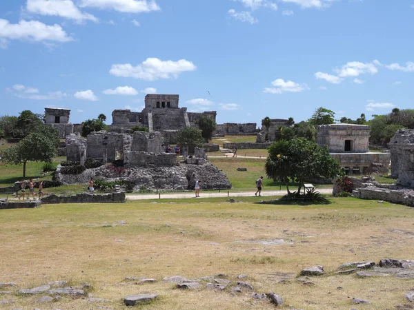 Cityscape do sítio archaeological da beleza com ruínas pedregosas do temple mayan na cidade de TULUM em México no campo ervoso — Fotografia de Stock