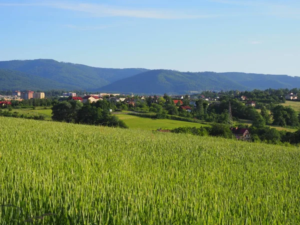 Stadtbild der europäischen bielsko-biala Stadt und Land Landschaft von Grasfeld auf beskid Berge in Polen — Stockfoto