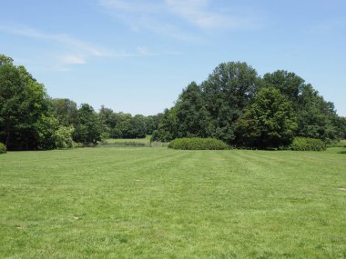 Haziran 'da Polonya 'da Avrupa Pszczyna kentinde Park manzara ıssız yeşil çimenli alan ve ağaçlar