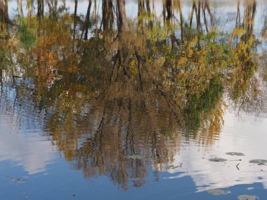 Avrupa Varşova şehri Polonya Wilanow parkta nehirde ağaçlar ve mavi gökyüzü su yansımaları