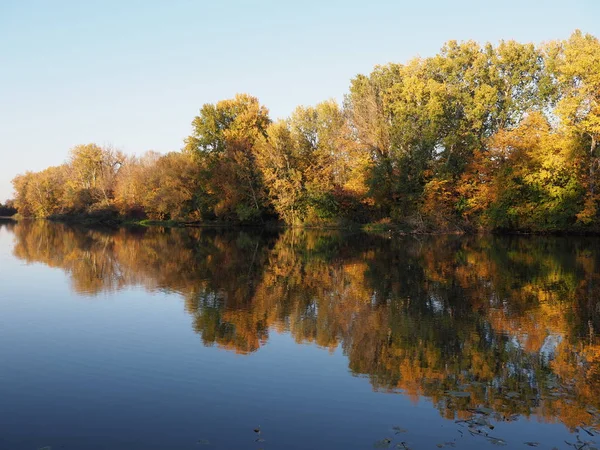 Krajobraz malowniczych drzew i rzek w parku Wilanow w Warszawie w europejskim mieście — Zdjęcie stockowe