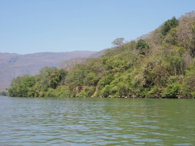 Meksika 'nın Chiapas eyaletindeki Grijalva nehri manzarasında Sumidero Kanyonu' nun vahşi yamacının güzel manzarası 2018 'de açık mavi gökyüzü, güneşli bir kış günü, Kuzey Amerika' da Şubat ayında..