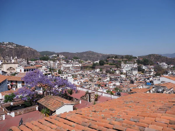 TAXCO, MEXICO North America on MARCH 2018: Mexican cityscape landscapes of historical city with jacaranda tree and clear blue sky in warm sunny winter day, North America on March.