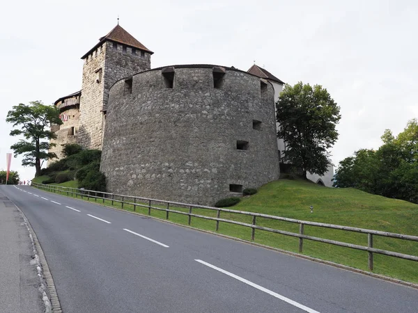 Cobbled Road Castle European Capital City Vaduz Liechtenstein Cloudy Sky — Fotografia de Stock