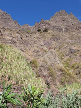 Muz ağaçları ile Cape Verde peyzaj Afrika Santo Antao adasında Xo-Xo vadisinde Dağ yamacı - dikey