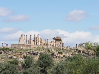 Great ruins of ancient Roman and african city of Volubilis in Morocco near Meknes with cloudy blue sky in 2019 warm sunny spring day on April.