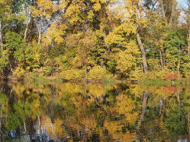 2018 yılında, Avrupa 'nın Varşova kenti Polonya' daki Wilanow parkında, güneşli bir sonbahar gününde su yansıtan manzara manzaraları..