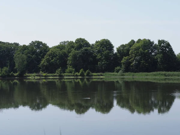 Bomen weerspiegeld in het water van de broedvijver in Goczalkowice in Polen — Stockfoto