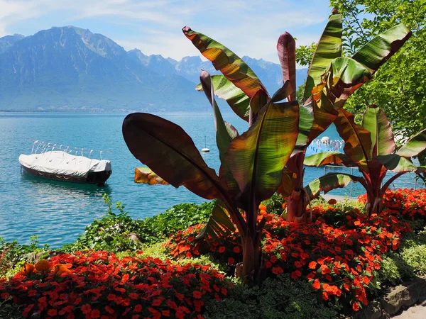 Plantas coloridas e barco no passeio marítimo na cidade de Montreux, na Suíça — Fotografia de Stock