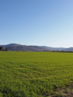 Polonya 'nın Bielsko-Biala kentindeki spor havaalanından görülen Silezya Beskid Dağları, Nisan' ın 2020 'de açık mavi gökyüzü - dikey güneşli bahar günü -.