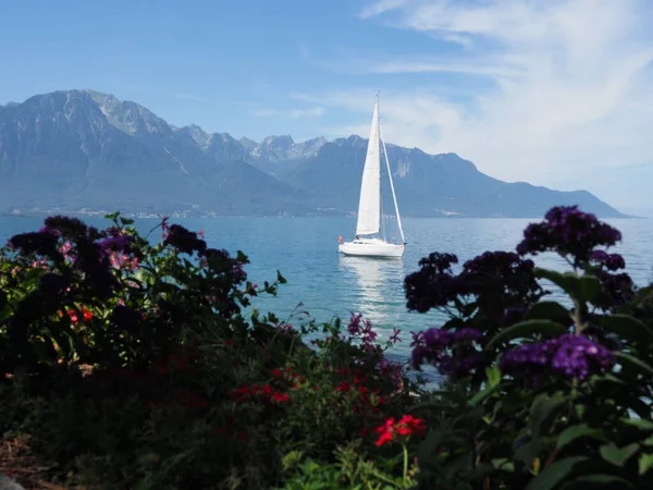 Iate de aluguer e flores no passeio marítimo na cidade de Montreux, na Suíça — Fotografia de Stock