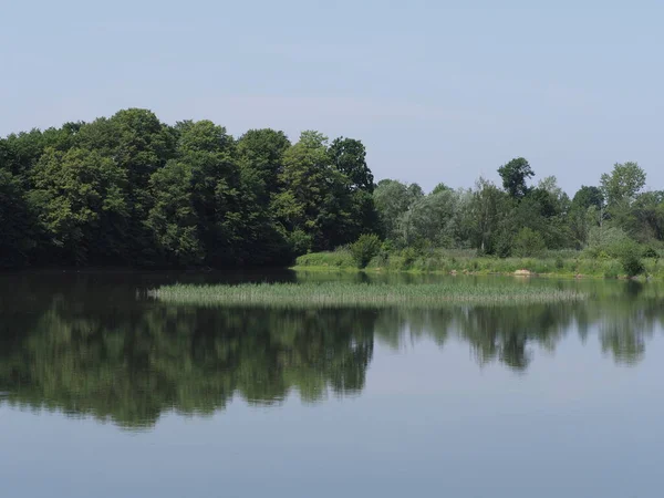 Woodland Reflected Waters Artificial Breeding Pond European Goczalkowice Town Silesian — Stockfoto