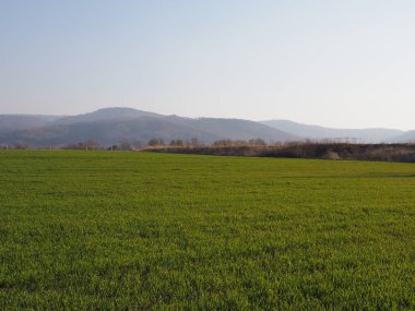 Bielsko-Biala şehrindeki Silesian Beskid Dağları, Polonya
