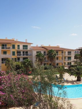 Cape Verde 'deki Sal adasında güzellik kompleksi ve egzotik ağaçlar - dikey