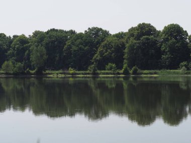 Ormanlık alan, Polonya 'nın Silezya ilçesindeki Goczalkowice kasabasında, Avrupa' nın gölet suyunu yansıtıyor. 2020 'de açık mavi gökyüzü, Haziran' ın güneşli bahar günü..