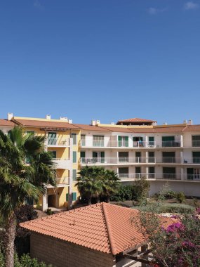 Mart 'ta Cape Verde' deki Afrika Sal Adası 'nda güneşli ve güneşli bir bahar gününde açık mavi gökyüzü olan olağanüstü karmaşık ve egzotik ağaçlar..