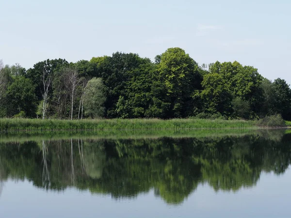 Landschap weerspiegeld in het water van de broedvijver in Goczalkowice, Polen — Stockfoto