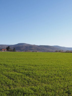 Şirin Silesian Beskid Dağları, Bielsko-Biala şehri, Polonya - dikey