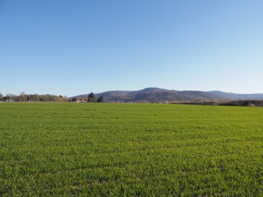 Bielsko-Biala şehrindeki parlak Silesian Beskid Dağları, Polonya