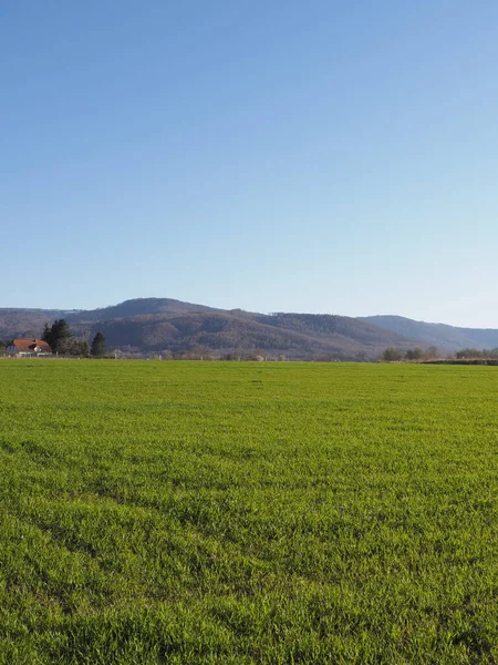 Şirin Silesian Beskid Dağları, Bielsko-Biala şehri, Polonya - dikey
