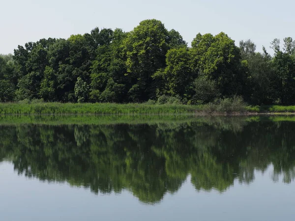 Woodland Reflected Waters Artificial Breeding Pond European Goczalkowice Town Silesian — Stockfoto