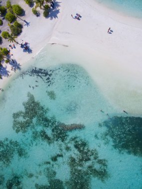 Doğal görünümünü tropik ada mavi okyanus su