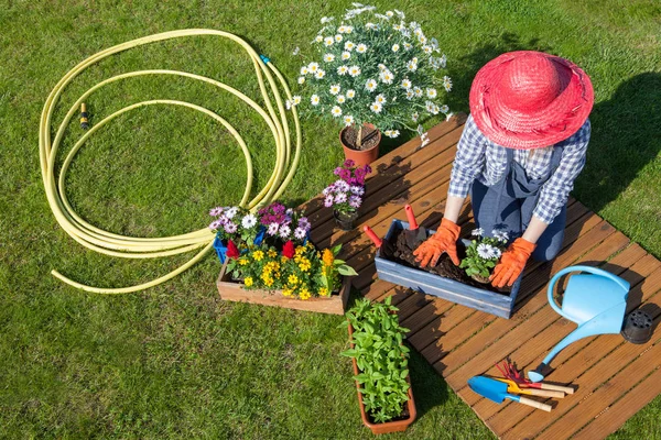 Mulher Plantando Flores Coloridas Jardim — Fotografia de Stock