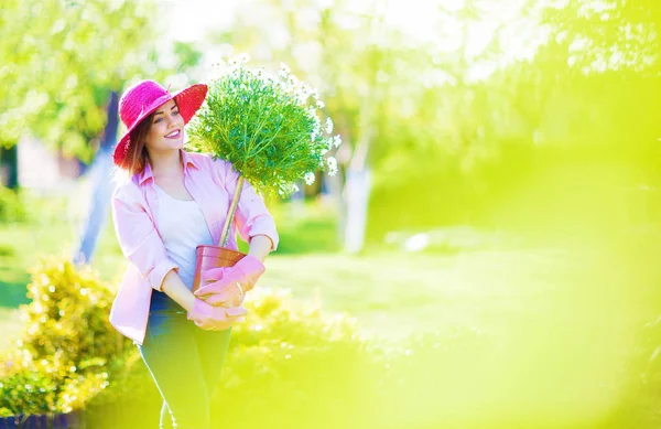 Mulher Segurando Arbusto Grande Mãos Jardim — Fotografia de Stock