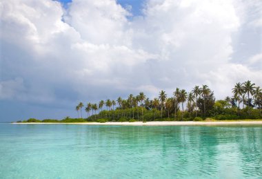 Yeşil avuç içi ve masmavi bir deniz ile tropikal kumlu plaj