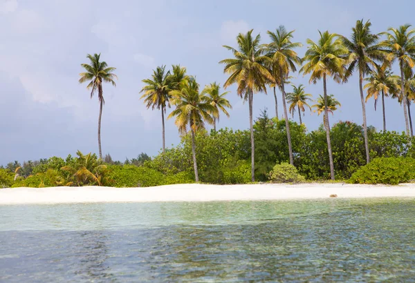 带绿色棕榈和蓝色水的热带沙滩 — 图库照片
