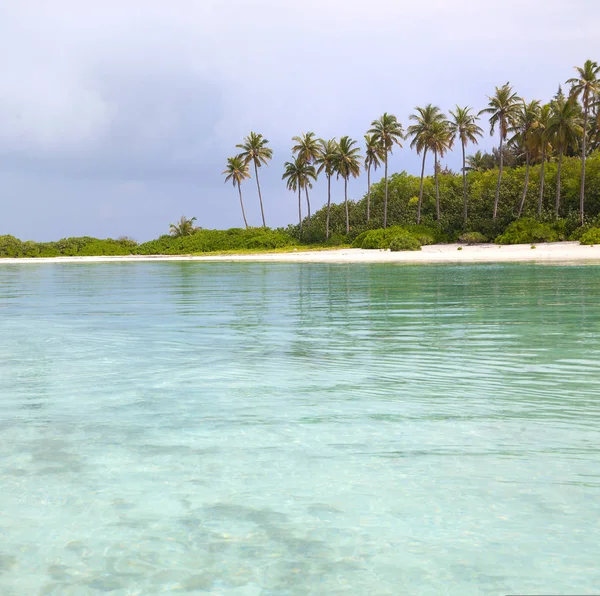 Playa Tropical Arena Con Palmeras Verdes Agua Azul —  Fotos de Stock