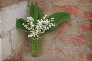 Bir ol arka planda vadinin beyaz zambak bir buket