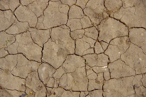 Cracks in dry soil during drought. — Stock Photo, Image