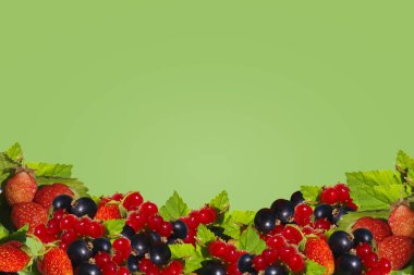 Kuş üzümü ve çilek taze çilek ile yeşil arka plan.